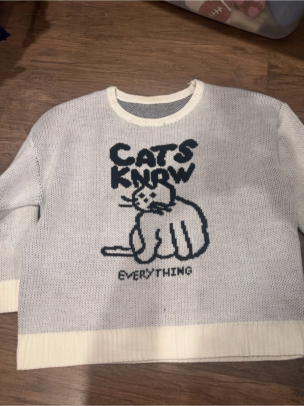 Cats Know Everything Cream & Navy Cat Knit Pullover Plus